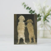 2匹の犬がドアの窓、背面を見て ポストカード (スタンド正面)