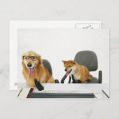 2匹の犬がネクタイとメガネを着て、2に座る ポストカード (正面/裏面)