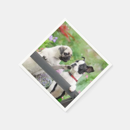2匹の犬がパグの子犬とボストンテリアを一緒に – スタンダードカクテルナプキン (角)