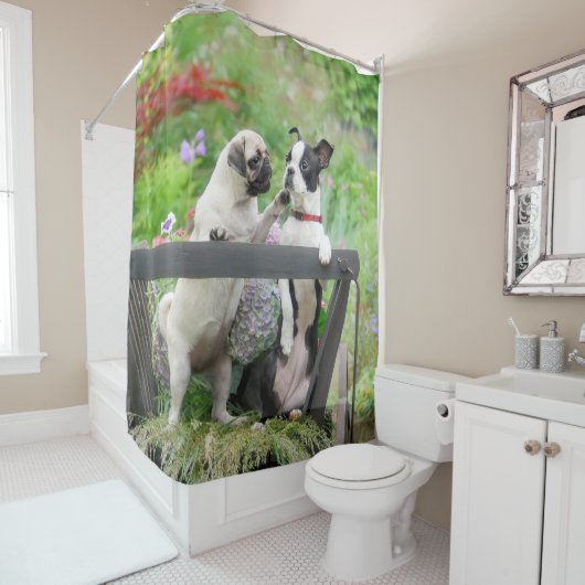 2匹の犬が子犬をふき、ボストン·テリアは荷車に乗っている シャワーカーテン (インサイチュ)