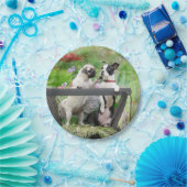 2匹の犬が子犬をふき、ボストン·テリアは荷車に乗っている ペーパープレート (パーティー)