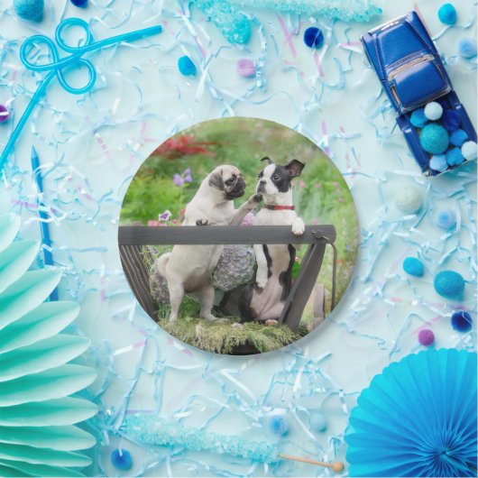 2匹の犬が子犬をふき、ボストン·テリアは荷車に乗っている ペーパープレート (パーティー)