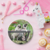 2匹の犬が子犬をふき、ボストン·テリアは荷車に乗っている ペーパープレート (パーティー)