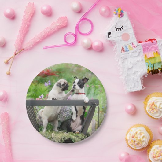 2匹の犬が子犬をふき、ボストン·テリアは荷車に乗っている ペーパープレート (パーティー)