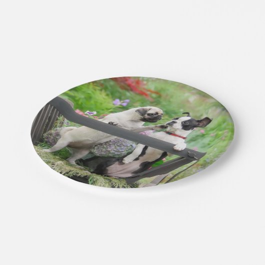 2匹の犬が子犬をふき、ボストン·テリアは荷車に乗っている ペーパープレート (アングル)