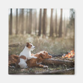 2匹の犬が森の火のそばに座っている。 マグネット (正面)