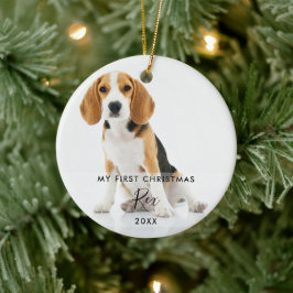 2匹の犬と猫のフォト 初めてのクリスマス セラミックオーナメント
