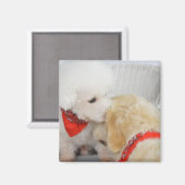 2匹の犬のクローズアップ マグネット (正面/裏面)