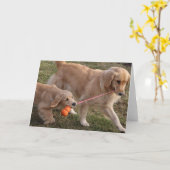 2匹の犬は挨拶状を消します カード (黄色い花)