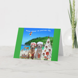 2匹の犬祝のクリスマスが島のビーチ シーズンカード