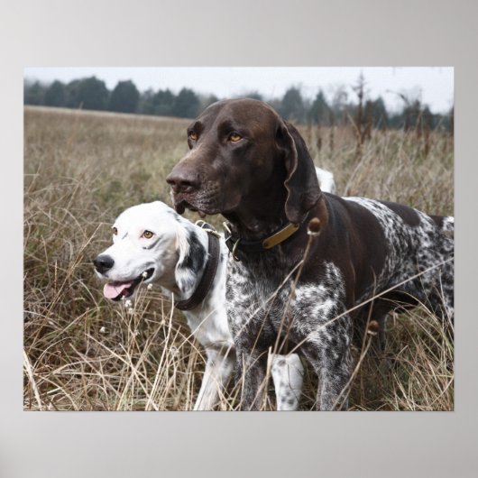 2匹の犬 |フィールド、ヒューストン、テキサス州 ポスター (正面)