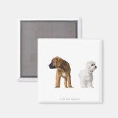 2匹の犬 マグネット (正面/裏面)