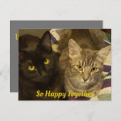 2匹の猫がバレンタインを狙って、とても嬉しく思う ノートカード (正面/裏面)