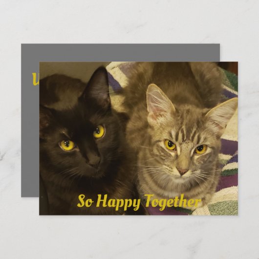 2匹の猫がバレンタインを狙って、とても嬉しく思う ノートカード (正面/裏面)