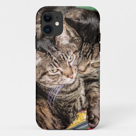 2匹の猫が嗅ぎ回る Case-Mate iPhoneケース (裏面)