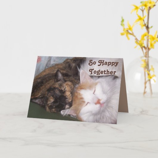 2匹の猫が暮らす記念に幸せに カード (黄色い花)