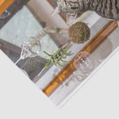 2匹の猫のイメージのティッシュペーパー 薄葉紙 (詳細)