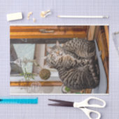 2匹の猫のイメージのティッシュペーパー 薄葉紙 (クラフト)