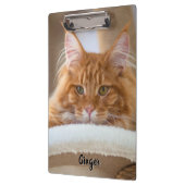 2匹の猫の写真 クリップボード (左)