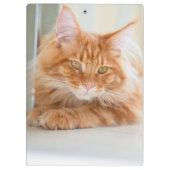 2匹の猫の写真 クリップボード (裏面)