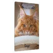 2匹の猫の写真 クリップボード (右)