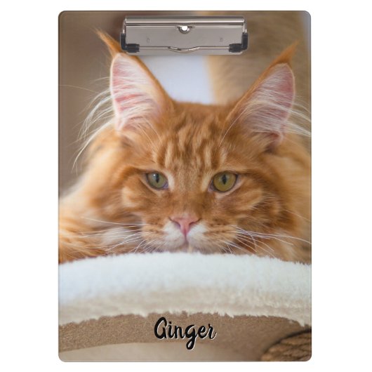 2匹の猫の写真 クリップボード (正面)