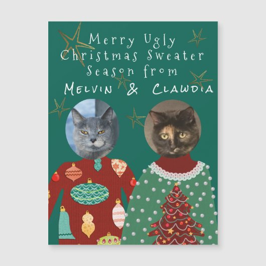 2匹の猫衣服の醜いセーター (正面)