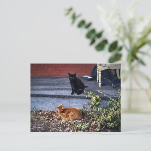 2匹の猫 ポストカード (スタンド正面)
