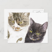 2匹の猫 – 虎猫とネクタイ ポストカード (正面/裏面)