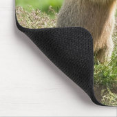 2匹の若いmarmots マウスパッド (コーナー)