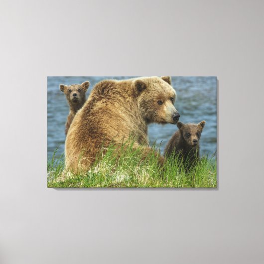 2匹の茶色のクマの子と母の付き合い キャンバスプリント (正面)