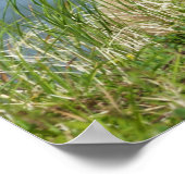 2匹の茶色のクマの子と母の付き合い ポスター (角)