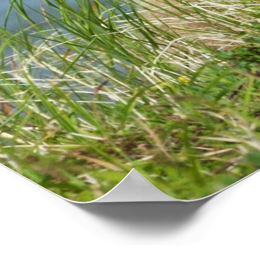 2匹の茶色のクマの子と母の付き合い ポスター (角)