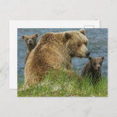 2匹の茶色のクマの子と母の付き合い ポストカード (正面/裏面)