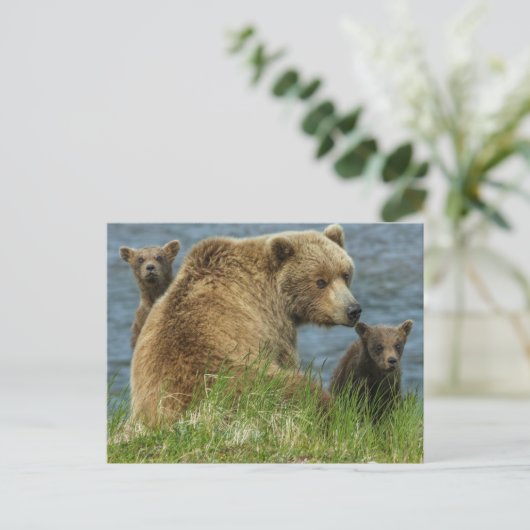2匹の茶色のクマの子と母の付き合い ポストカード (スタンド正面)