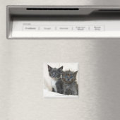 2匹の虎猫 マグネット (インサイチュ (食洗機))