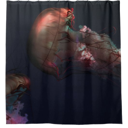 2匹の赤クラゲの水中撮影 シャワーカーテン (正面)