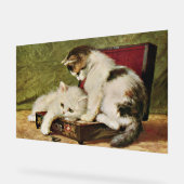 2匹の遊び好きな子猫 アクリルサイン (傾斜)