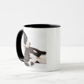 2匹の道化師のグレートデーンの子犬 マグカップ (正面左)