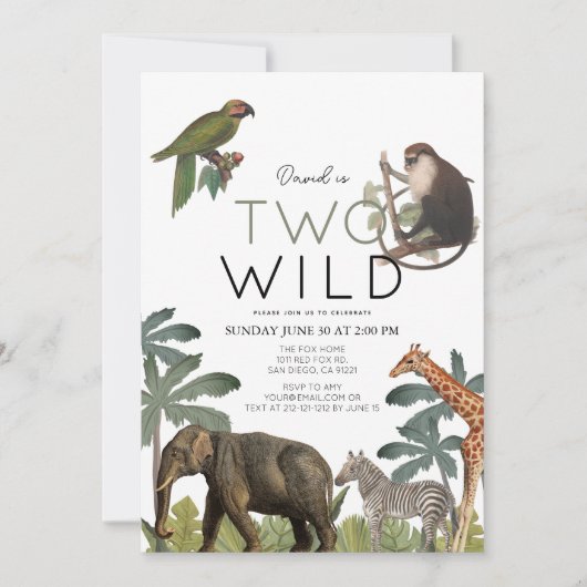 2匹の野生アフリカサファリの動物の誕生日2 招待状 (正面)