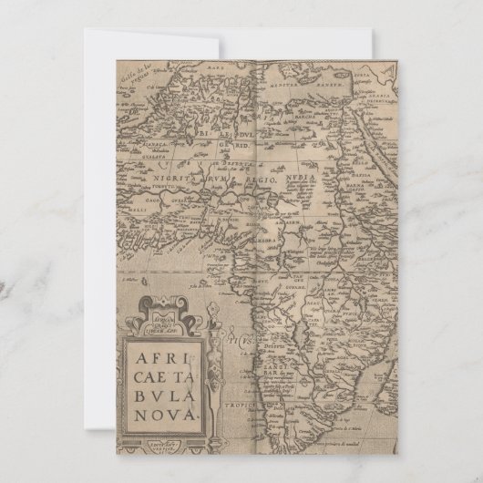 2匹の野生アフリカサファリの動物の誕生日2 招待状 (裏面)