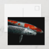 2匹の魚 シーズンポストカード (正面/裏面)