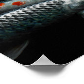 2匹の魚 ポスター (角)