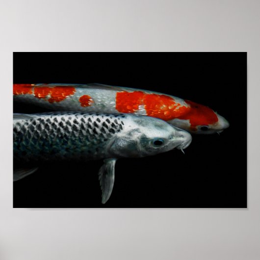 2匹の魚 ポスター (正面)