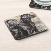 2匹の黒いラブラドル・レトリーバー犬 コースター (左側)