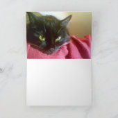 2匹の黒猫のグリーティングカード カード (内部)