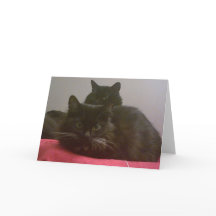 2匹の黒猫のグリーティングカード