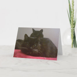 2匹の黒猫のグリーティングカード カード
