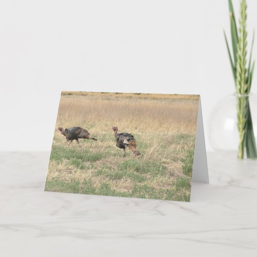 2匹のGobblers シーズンカード (正面)