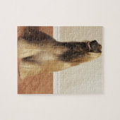 2号室に座っているアフガン犬 ジグソーパズル (横)